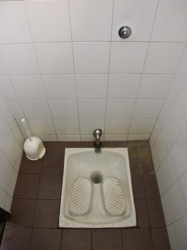 An Austrian/German toilet