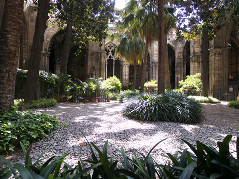 The cloisters in the Barcelona Cathedral