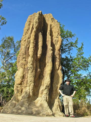 A cathedral termite mound in Litchfield National Park, Australia
