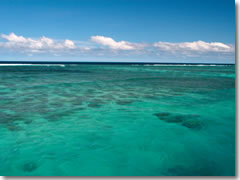 The crystalline waters of Fiji