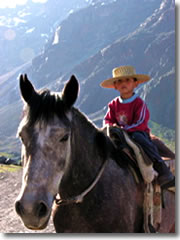 Felipe Nuñez, only five years old but already a bona fide Chilean arriero (cowboy).