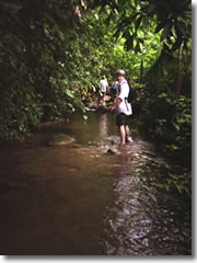 The author on his jungle trek—at this point, only ankle deep in the water