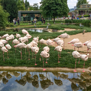 The Wilhelma zoo and botanical garden in Stuttgart