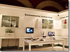 The archaeology exhibits on the top floor at Dublinia