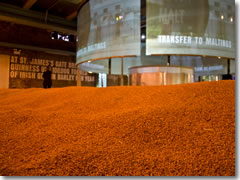 Tons and tons of Irish barley go into Guinness.