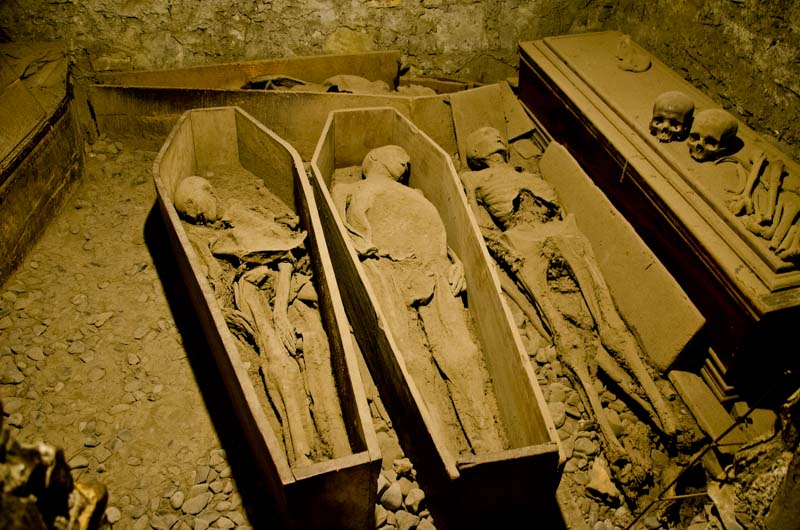 Mummies in the crypt of St. Michan's Church in Dublin
