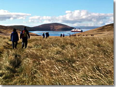 Hiking between the ship and the nesting grounds in Camp on the Falklands