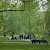 Relaxing in Green Park, Green Park, London (Photo by Diliff)