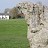 The B&B really is inside the stone circle (Photo courtesy of the property)